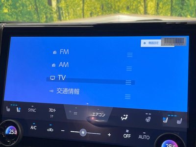 2025 TOYOTA ALPHARD 缩略图 38