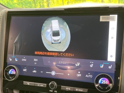 2025 TOYOTA ALPHARD 缩略图 40