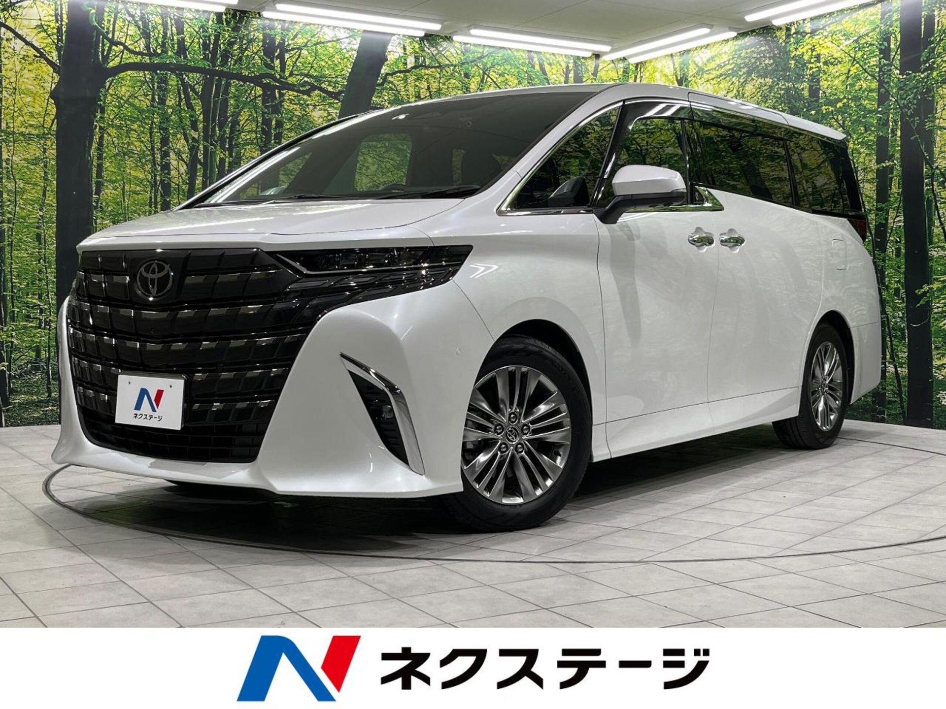 TOYOTA ALPHARD - View 1