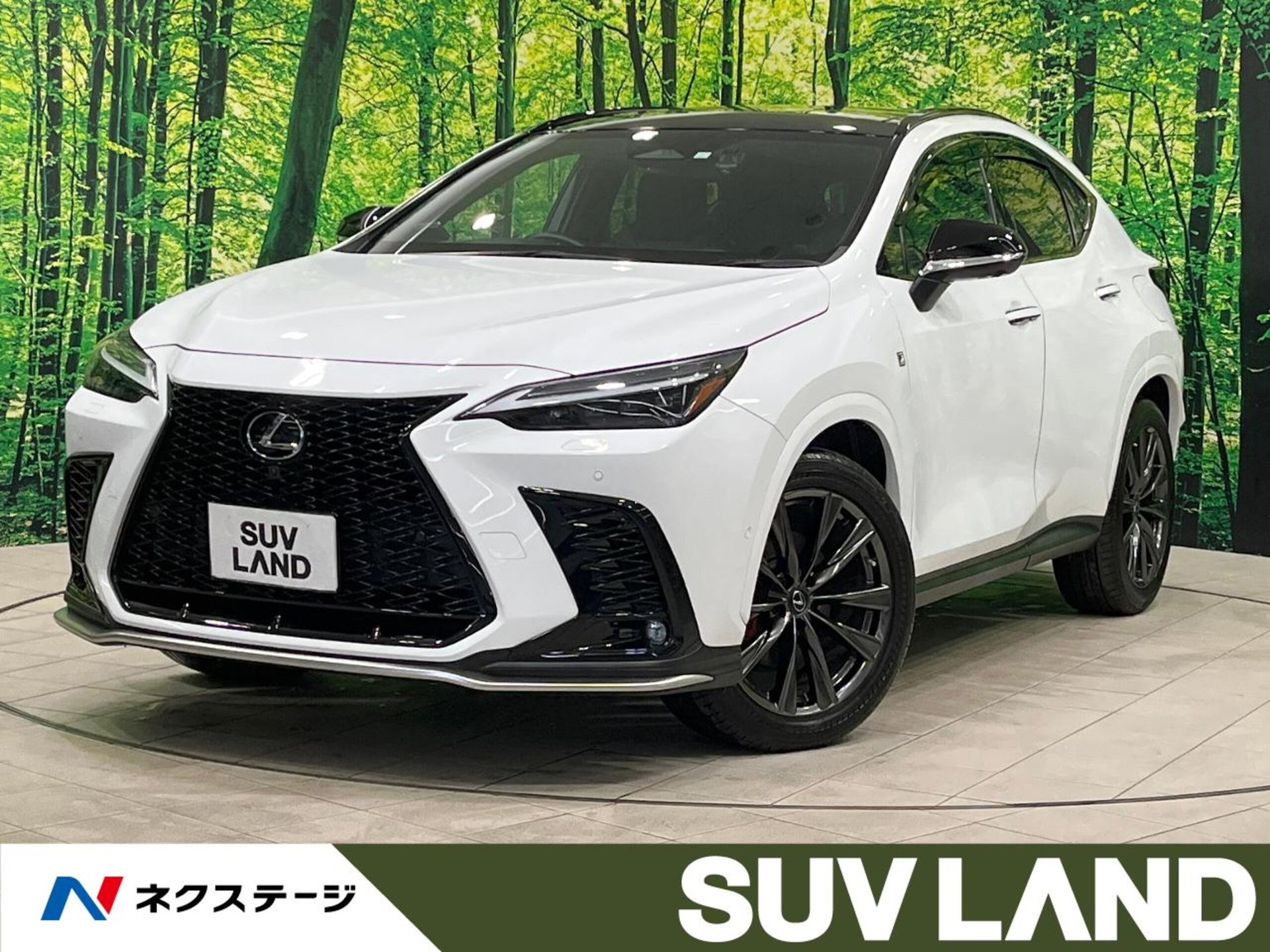 LEXUS NX - View 1