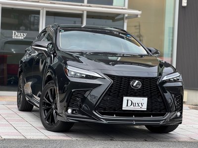 صورة 6 لـ 2025 Lexus NX