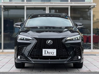 صورة 10 لـ 2025 Lexus NX