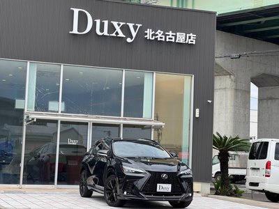 صورة 9 لـ 2025 Lexus NX