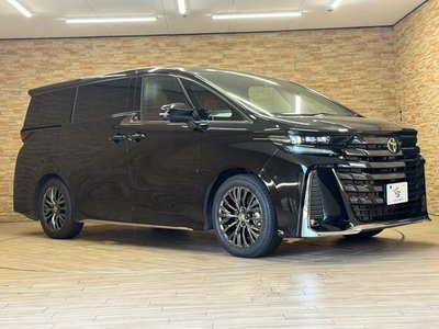 2024 Toyota VELLFIRE 照片 24