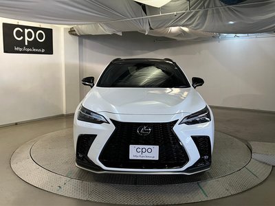 LEXUS NX - 6