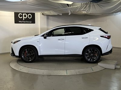 LEXUS NX - 10