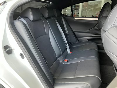 2020 Lexus ES thumbnail 18