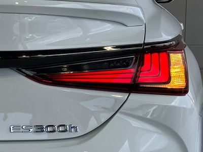 2020 Lexus ES thumbnail 42