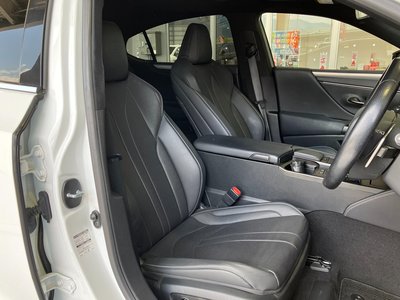 2020 Lexus ES thumbnail 17