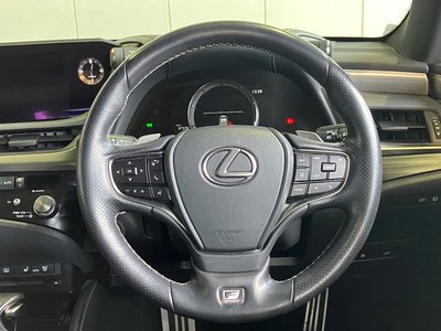 2020 Lexus ES thumbnail 54
