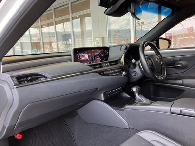 2020 Lexus ES thumbnail 74