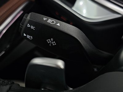 2025 BMW X6 缩略图 30