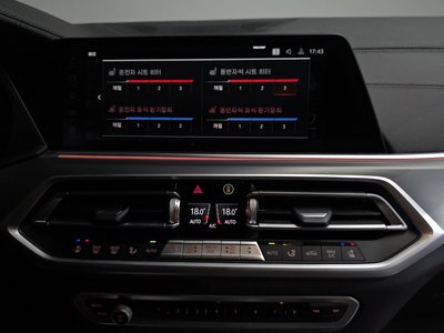 2022 BMW X6 — миниатюра 19
