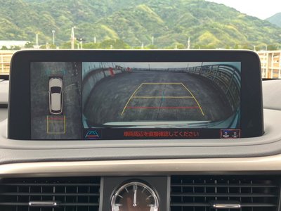 2019 Lexus RX 缩略图 20