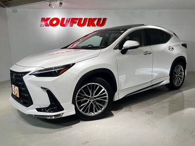 LEXUS NX - 7