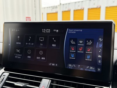 2024 Toyota LAND CRUISER 300 — миниатюра 77