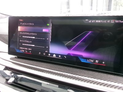 2025 BMW X6 缩略图 24