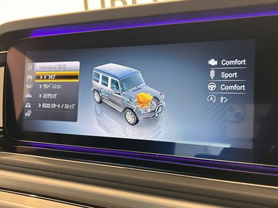 2019 Mercedes-BENZ G-CLASS 缩略图 14