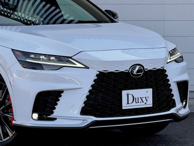 LEXUS RX - 6