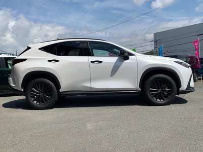 LEXUS NX - 10