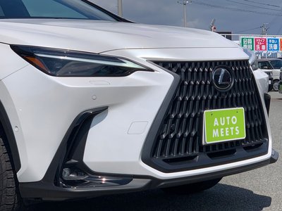 LEXUS NX - 8