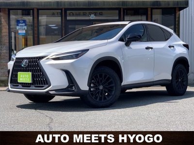 LEXUS NX - 1