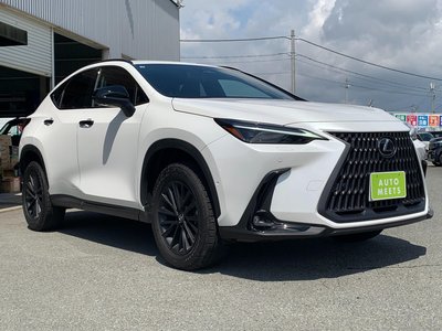 LEXUS NX - 7