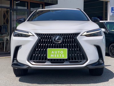 LEXUS NX - 6
