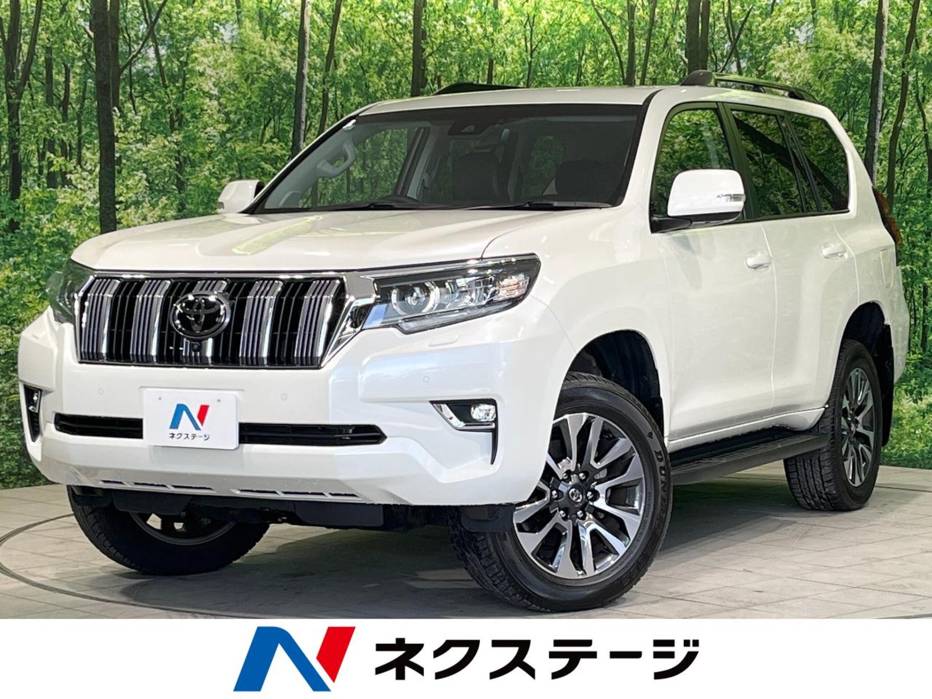 TOYOTA LAND CRUISER PRADO - View 1