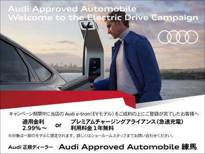 2025 AUDI Q6 E-TRON photo 6