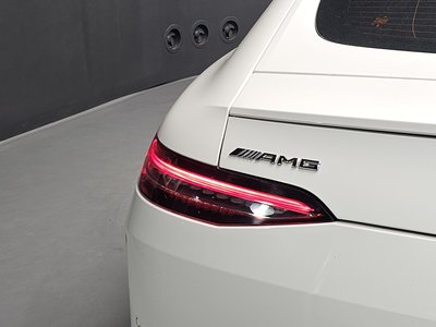2023 Mercedes-BENZ GT AMG 照片 10