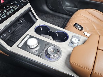 GENESIS GV80 - 9