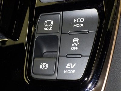 2025 Toyota ALPHARD 缩略图 28
