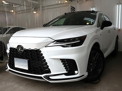 2023 Lexus RX — фото 1
