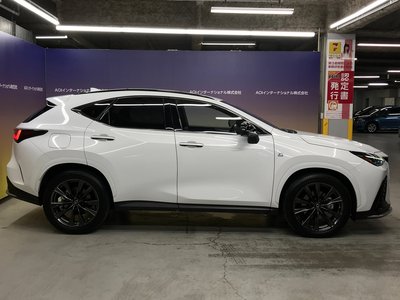 LEXUS NX - 10