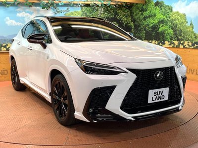 صورة مصغرة 38 لـ 2023 Lexus NX