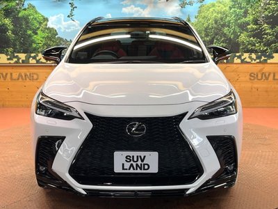 صورة مصغرة 16 لـ 2023 Lexus NX