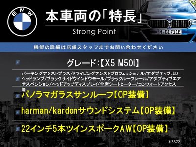 2021 BMW X5 缩略图 61