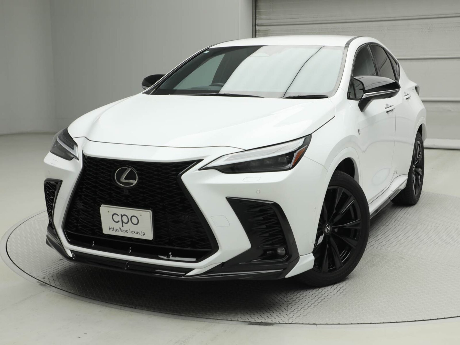 LEXUS NX - View 1