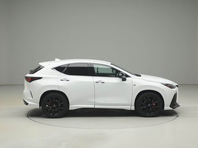LEXUS NX - 10