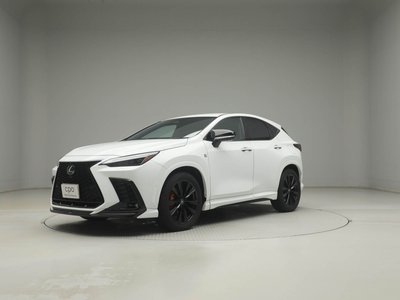 LEXUS NX - 4