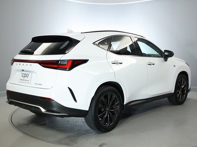 LEXUS NX - 10