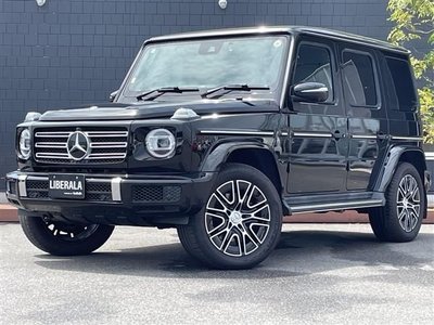 MERCEDES-BENZ G-CLASS - 1
