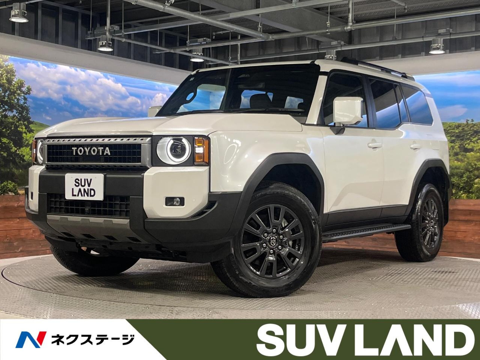 TOYOTA LAND CRUISER 250 - View 1