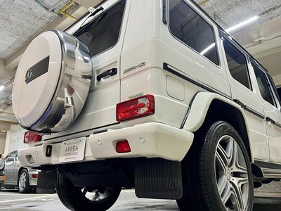2013 Mercedes-BENZ G-CLASS AMG 缩略图 41