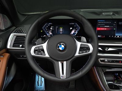 2025 BMW X5 thumbnail 20