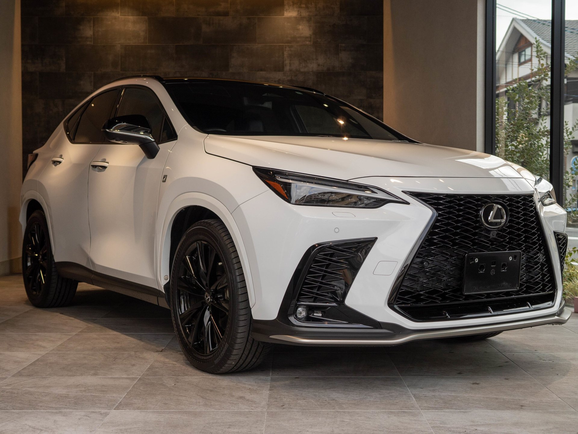 LEXUS NX - View 1
