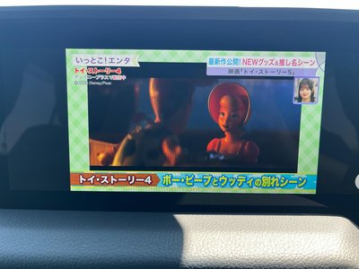2024 Toyota LAND CRUISER 250 缩略图 28