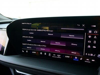 2025 AUDI SQ5 缩略图 51