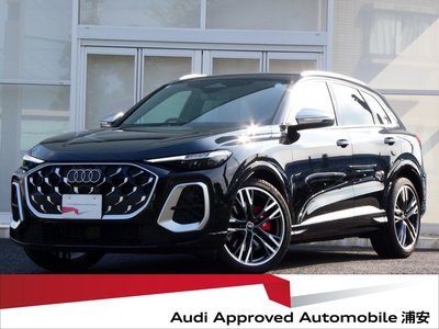 2025 AUDI SQ5 照片 1